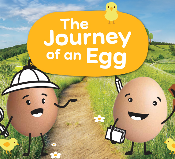 Australian Eggs - Kimberlin Education